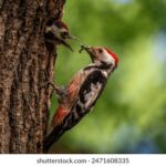 lot29直播平台全新上线,精彩内容抢先体验 9hzeg4gdn0